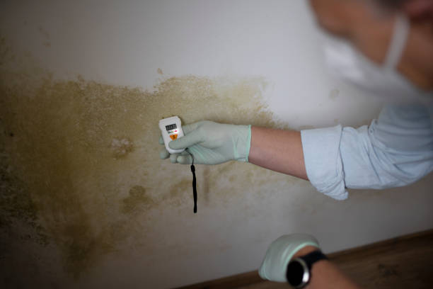 Crawl Space Mold Removal in Brewer, ME